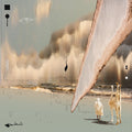 Taroug - Chott (DIGIPACK CD) | Mint (M) Mint (M)-Classic Vinyl Record