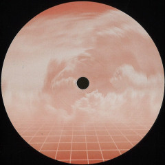 Len Lewis - Critical Mass EP (VINYL 12") | Mint (M) Mint (M)--Classic Vinyl Record