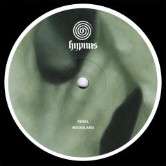 Feral - Woodland (VINYL 12") | Mint (M) Mint (M)--Classic Vinyl Record