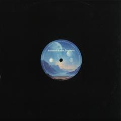 Various - Transient States. Feedback (VINYL 12") | Mint (M) Mint (M)--Classic Vinyl Record