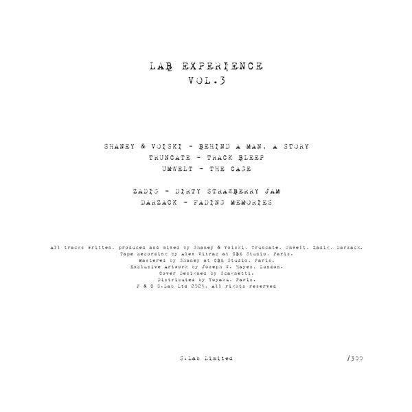 Various Artists - (PRE-ORDER TBA) Lab Experience Vol. 3 (SWIRL VINYL 12") | Mint (M) Mint (M)--Classic Vinyl Record