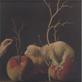 Conceptual (2) - No More Excuses EP (VINYL) | Mint (M) Mint (M)--Classic Vinyl Record