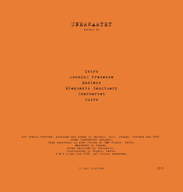 Unerwartet - Endless EP (VINYL) | Mint (M) Mint (M)--Classic Vinyl Record