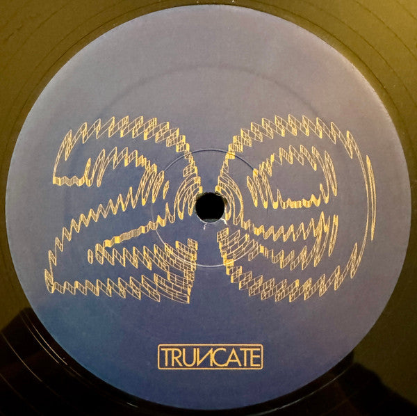 Truncate - Forgotten (VINYL) | Mint (M) Generic--Classic Vinyl Record