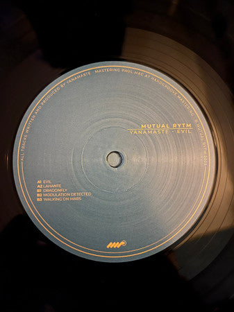 Evil (VINYL) | Mint (M) Mint (M)--Classic Vinyl Record