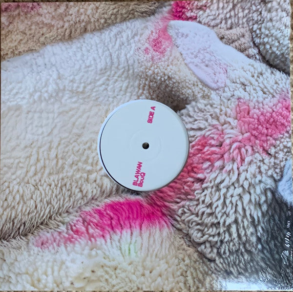 Blawan - BouQ (VINYL) | Mint (M) Mint (M)--Classic Vinyl Record