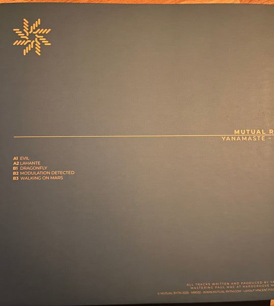 Evil (VINYL) | Mint (M) Mint (M)--Classic Vinyl Record