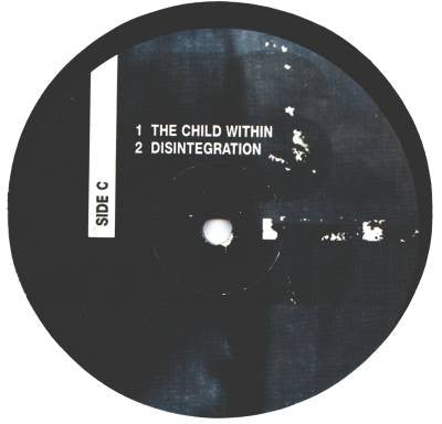 Diego - The Persuasion Channel (2xVINYL) | Very Good Plus (VG+) Very Good Plus (VG+)--Classic Vinyl Record