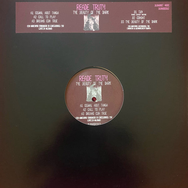 Reade Truth - The Beauty Of The Dark | Mint (M) Mint (M)--Classic Vinyl Record
