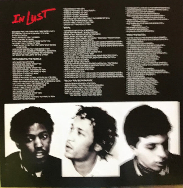 The Dance - In Lust | Mint (M) Mint (M)-Classic Vinyl Record
