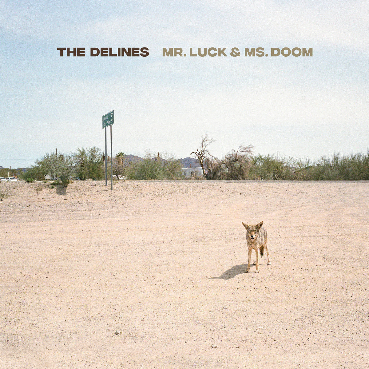 The Delines - Mr. Luck & Ms. Doom (Desert Hardscape Vinyl) | Mint (M) Mint (M)-Classic Vinyl Record