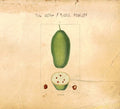 THE DORF/PHILL NIBLOCK - Baobab |-Classic Vinyl Record