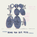 The Laughing Chimes - Behind Your Blue Fields (CASSETTE) | Mint (M) Mint (M)-Classic Vinyl Record