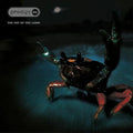 The Prodigy - The Fat Of The Land | Mint (M) Mint (M)-Classic Vinyl Record