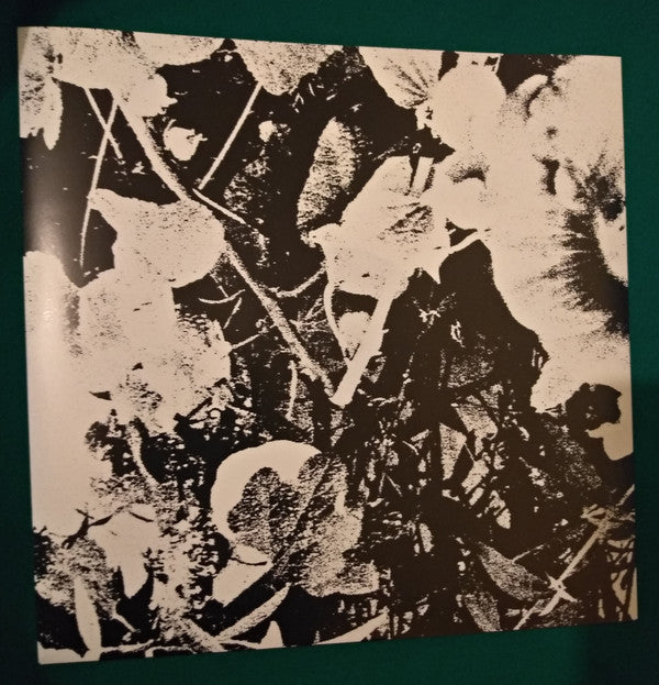 Sun Racket | Mint (M) Mint (M)-Classic Vinyl Record