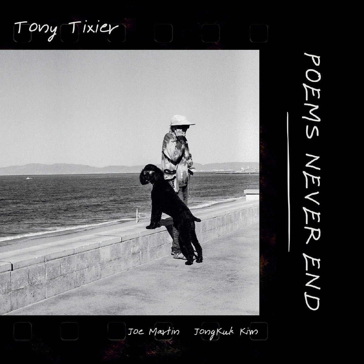 Tony Tixier - Poems Never End (CD) | Mint (M) Mint (M)-Classic Vinyl Record
