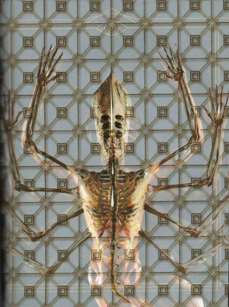 Tool (2) - Fear Inoculum (Expanded Book Edition CD RCA/Tool Dissectional 19075-97582-2) | NEW-Classic Vinyl Record