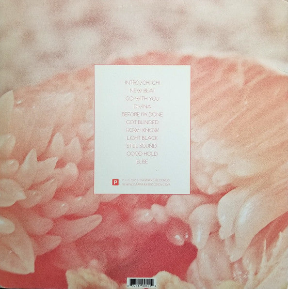 Toro Y Moi - Underneath The Pine | Mint (M) Mint (M)-Classic Vinyl Record