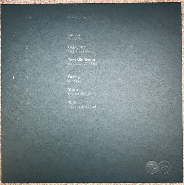 Various - Anjuna25 Anniversary Box Set (VINYL BOX) | Mint (M) Mint (M)-Classic Vinyl Record