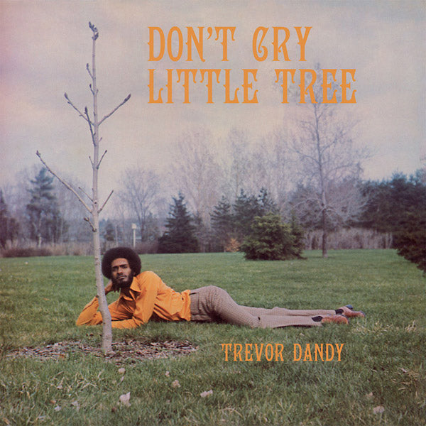 TREVOR DANDY - Don't Cry Little Tree (VINYL) | Mint (M) Mint (M)-Classic Vinyl Record