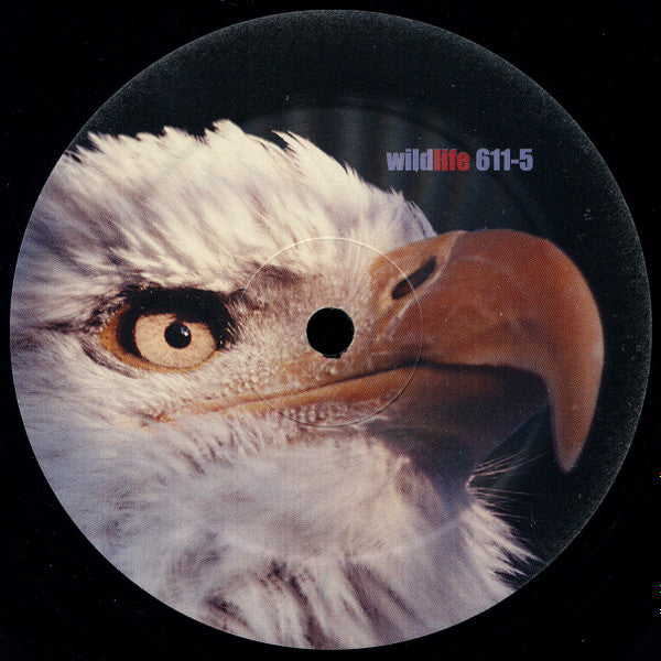 DJ Debra - Radical | Excellent (EX) Very Good (VG)-Classic Vinyl Record