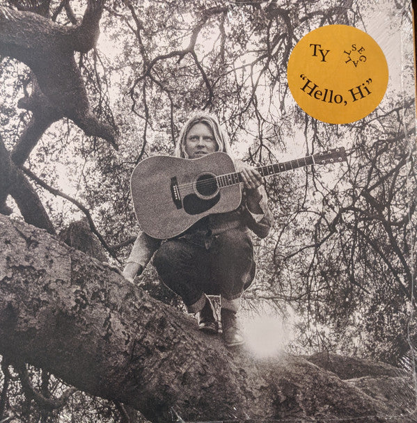 Ty Segall - "Hello, Hi" (VINYL) | Mint (M) Mint (M)-Classic Vinyl Record