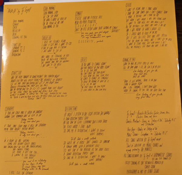 Ty Segall - "Hello, Hi" (VINYL) | Mint (M) Mint (M)-Classic Vinyl Record