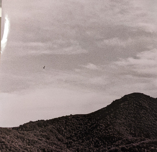 Ty Segall - "Hello, Hi" (VINYL) | Mint (M) Mint (M)-Classic Vinyl Record