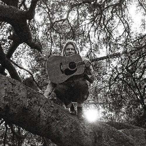 Ty Segall - "Hello, Hi" (VINYL) | Mint (M) Mint (M)-Classic Vinyl Record