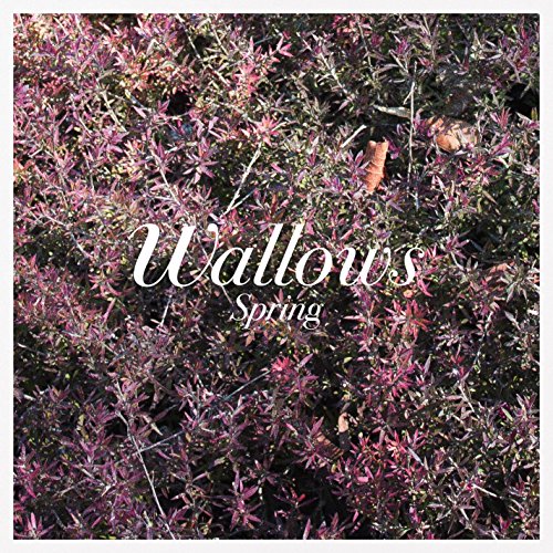 Wallows - Spring (COLOR VINYL) |-Classic Vinyl Record