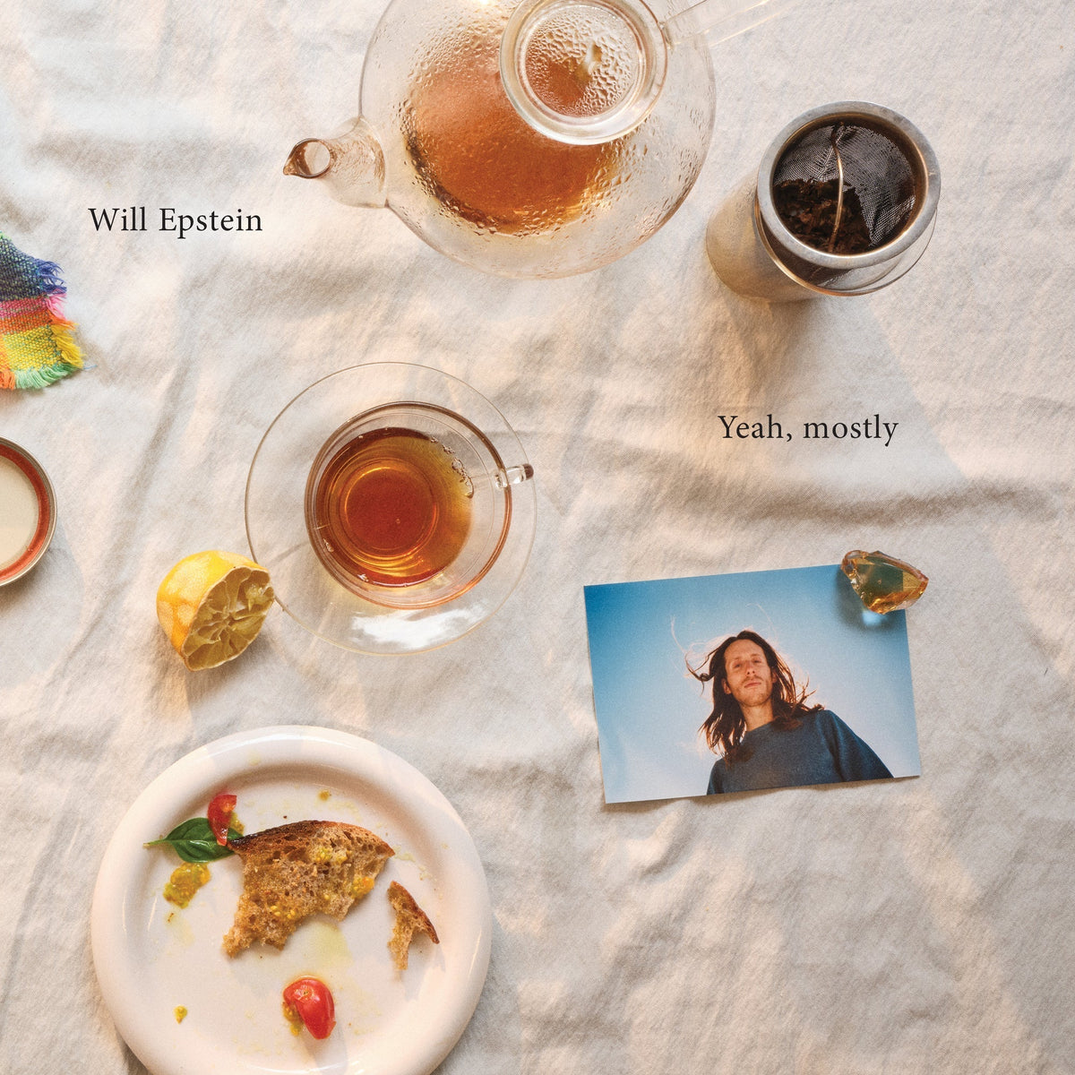 Will Epstein - (PRE-ORDER 1/9/26) Yeah Mostly (VINYL) |-Classic Vinyl Record