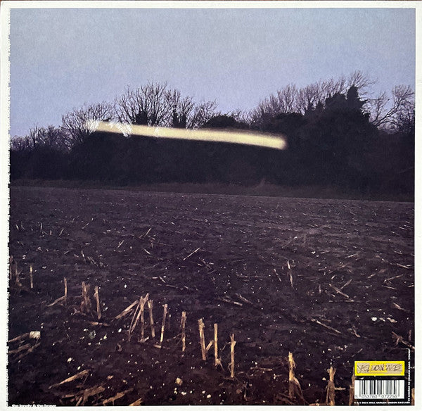 Will Varley - The Hole Around My Head | Mint (M) Mint (M)-Classic Vinyl Record
