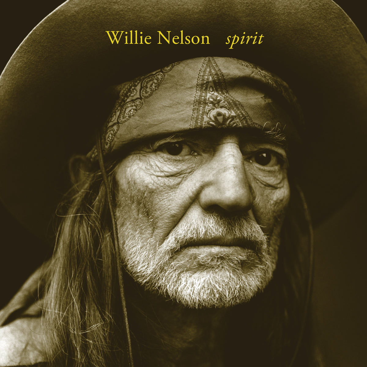 Willie Nelson - Spirit | Mint (M) Mint (M)-Classic Vinyl Record