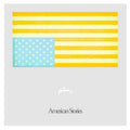 Rostam - American Stories (SUMAC VINYL) | Mint (M) Mint (M)--Classic Vinyl Record