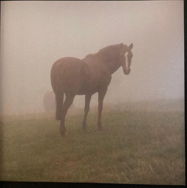Magic Pony Ride | Mint (M) Mint (M)-Classic Vinyl Record